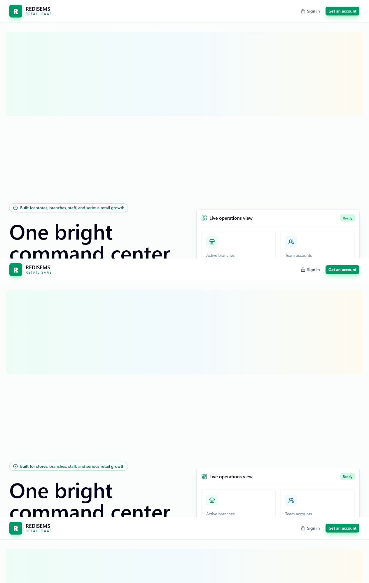 REDISEMS retail SaaS landing page